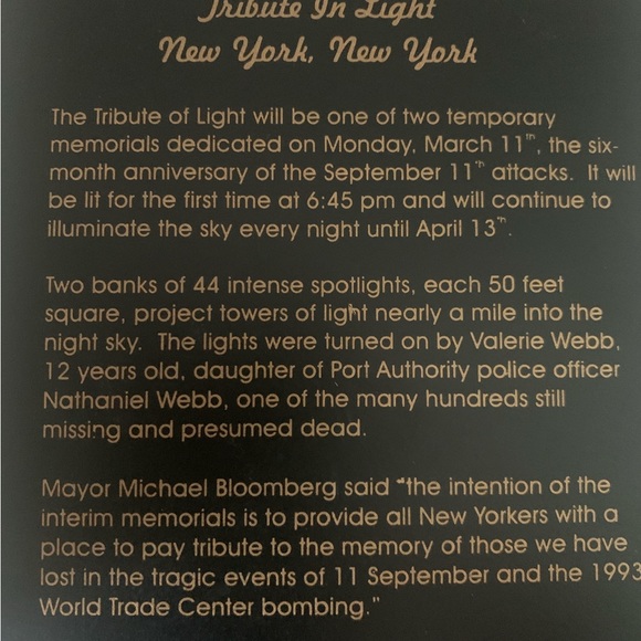 Sheila's New York City Skyline & Tribute in Light New York New York - Picture 8 of 9